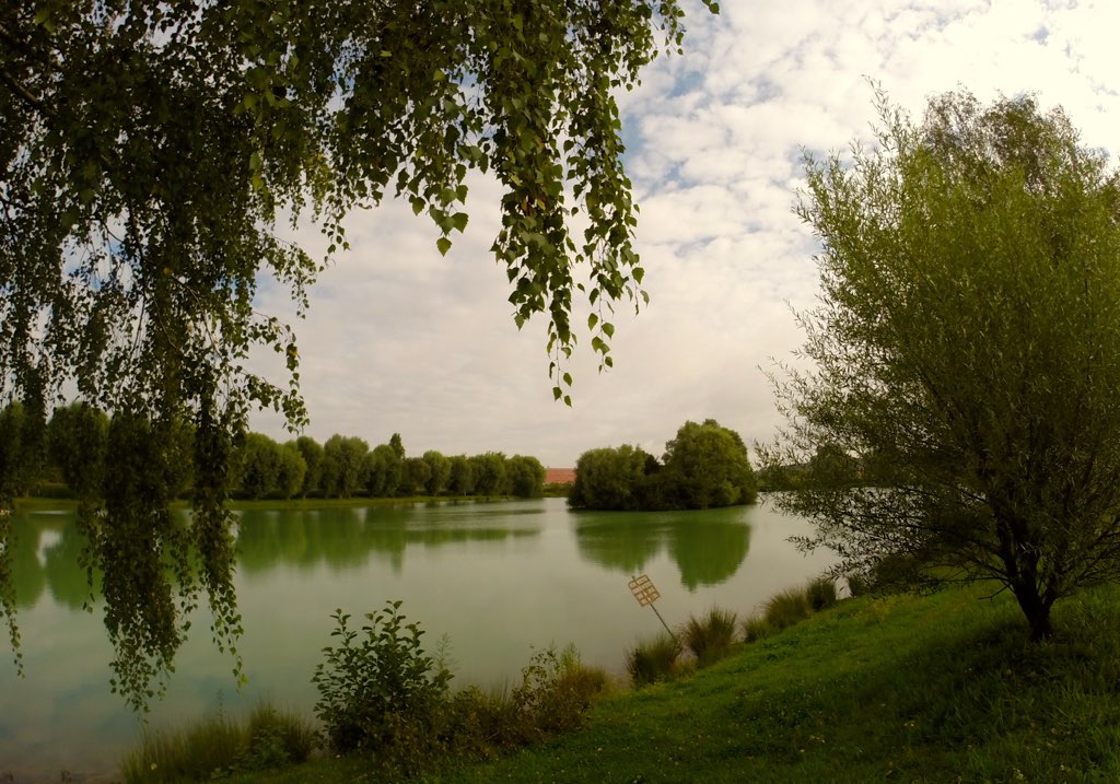 Etang à Saint-Maximin, Oise