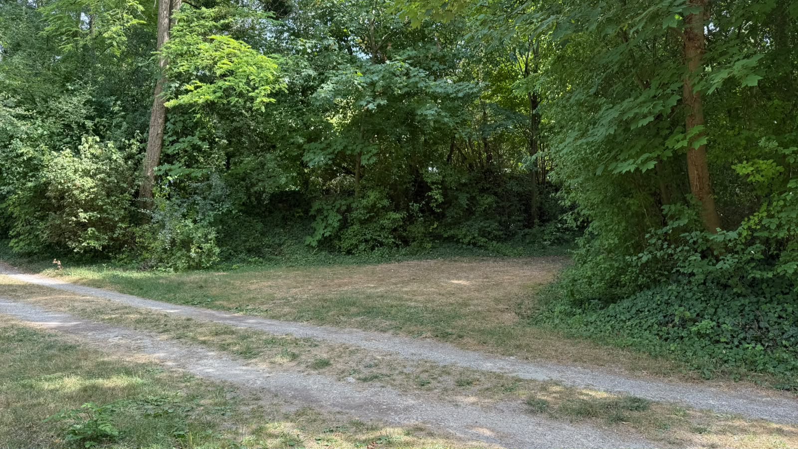 Camping 6 ha – 600m2 - 175 emplacements – 10 bungalows - Saint-Leu-d'Esserent